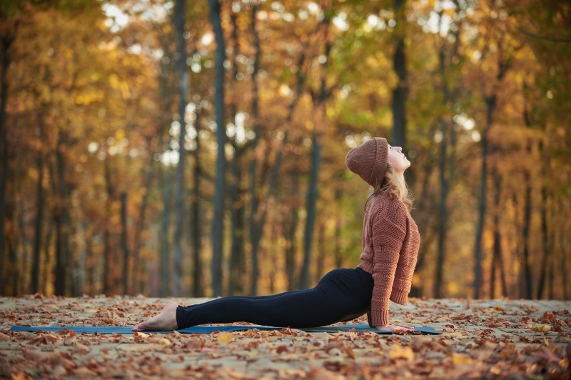 Frau macht Yoga im herbstlichen Wald