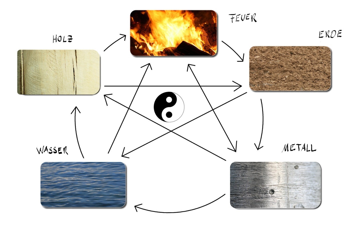 Fünf Elemente im TCM