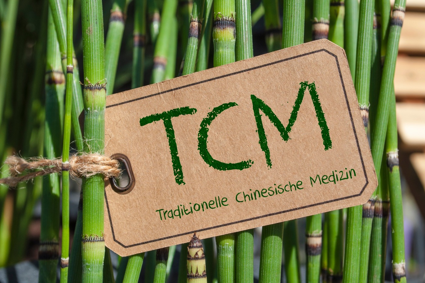 Traditionelle chinesische Medizin 